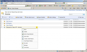 SSRS 2008 R2 Report Manager Home Page
