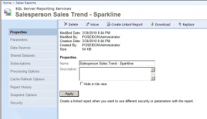 SSRS 2008 R2 Report Manager - Report Properties
