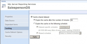 SSRS 2008 R2 Report Manager - Shared Data Set Caching Properties