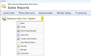 SSRS 2008 R2 Report Manager - Report Contextual Dropdown